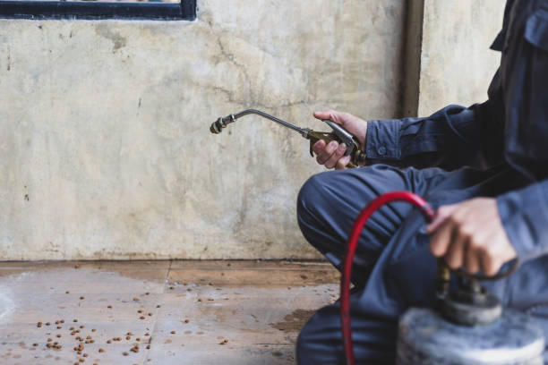 Best Residential Pest Control  in Latimer, MS